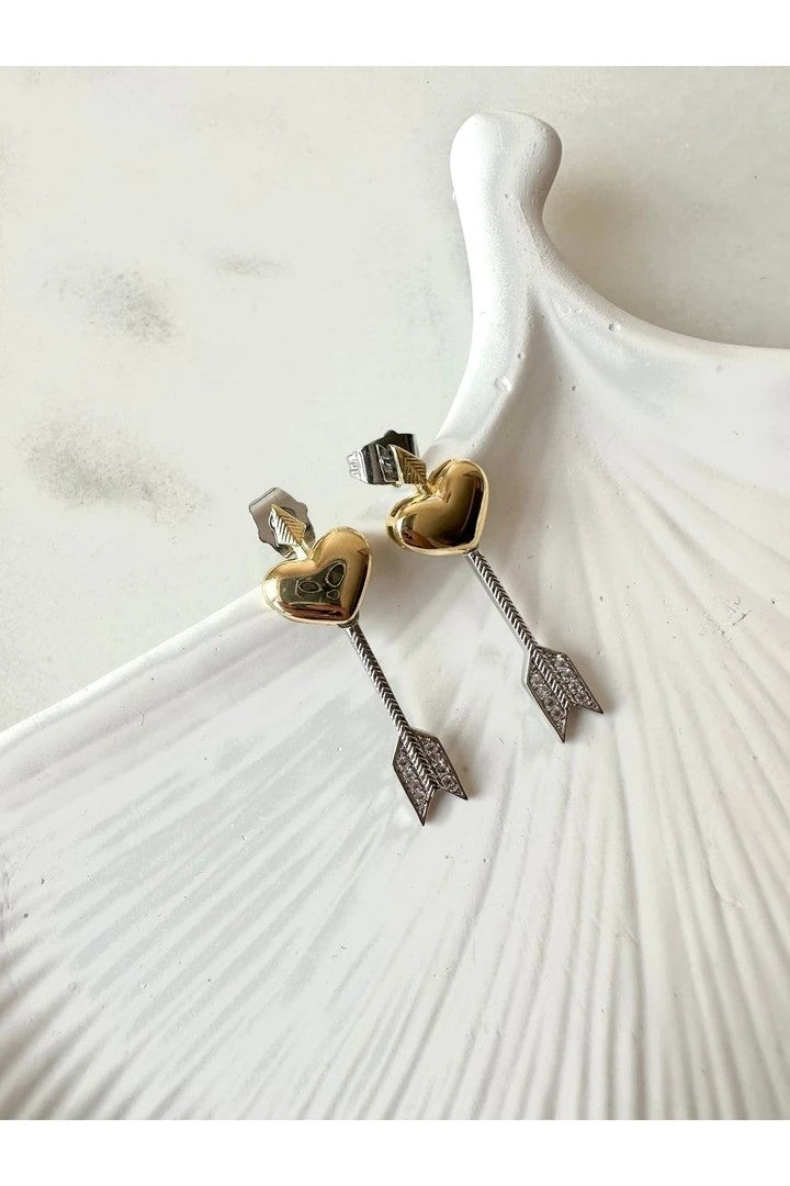 Eros Steel Earrings -Silver