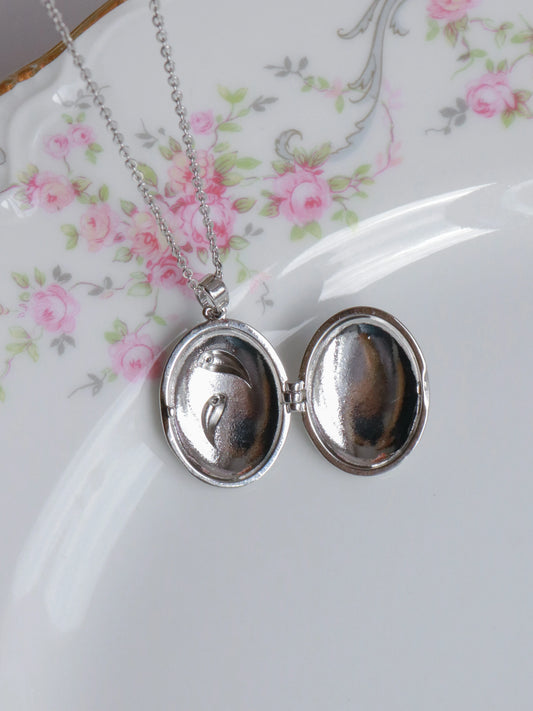 Silver Dolphin Spirit Personalized Photo Locket Necklace