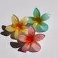 Hibiscus Hawaii Mini Hair Clasp