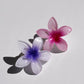 Hibiscus Hawaii Mini Hair Clasp