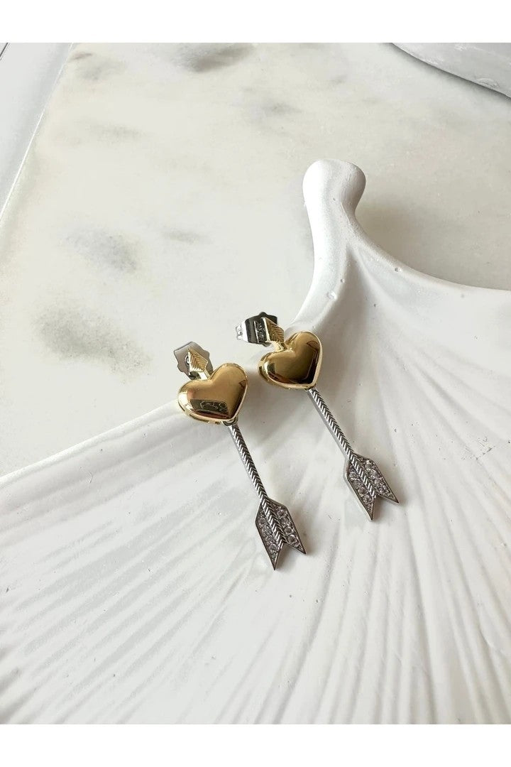 Eros Steel Earrings -Silver