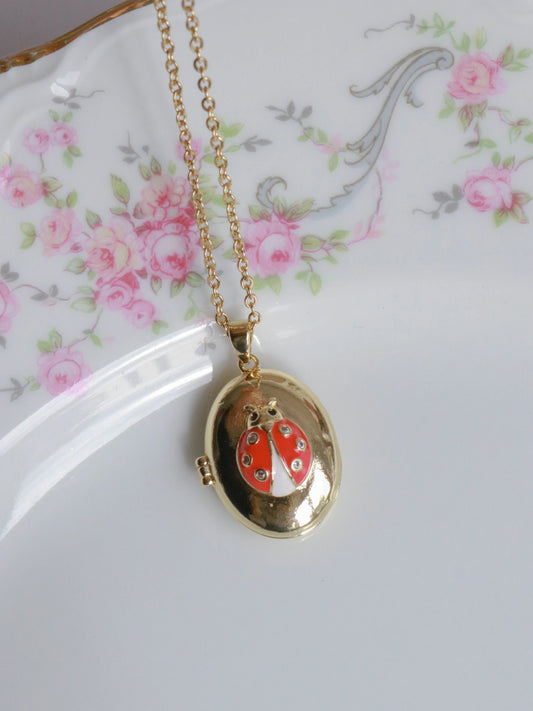 You're My Luck Ladybug Personalized Photo Locket Necklace