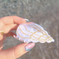 Snail Shell Toka