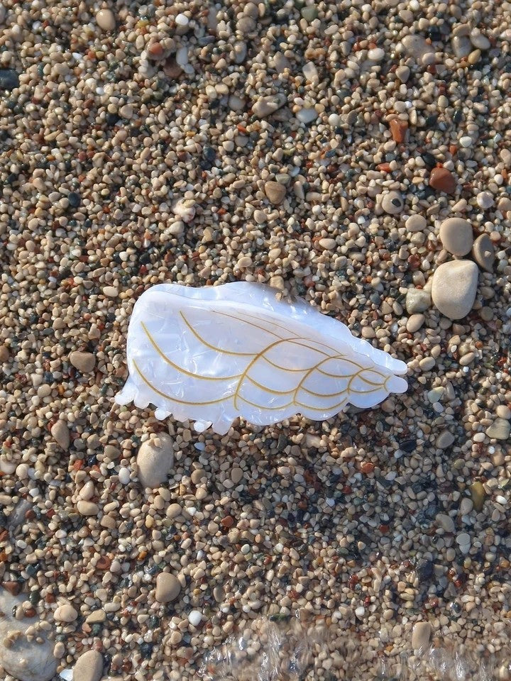 Snail Shell Toka