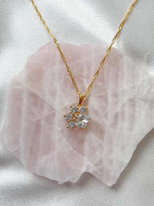 Paw Zircon Necklace
