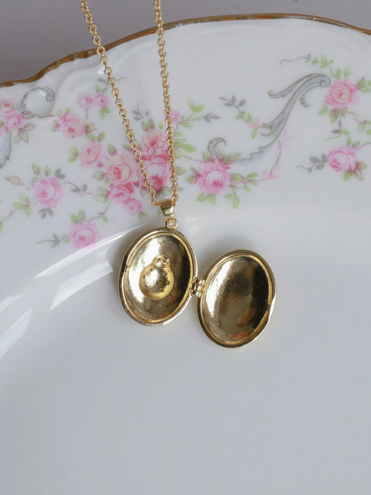 You're My Luck Ladybug Personalized Photo Locket Necklace