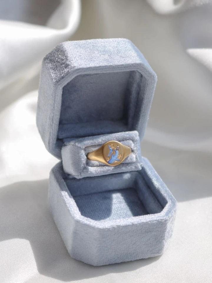 Vintage Dolphin Steel Ring