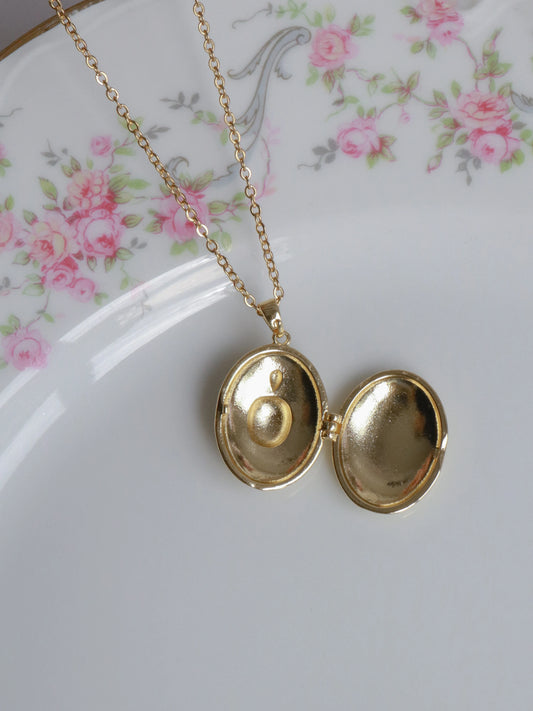 Golden Sea Turtle Personalized Photo Locket Necklace